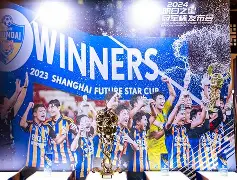 开云手机入口-莫德里奇庆祝动作