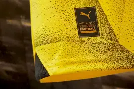 开云手机入口-转会期多特蒙德调整名单以备意甲Ning连续十五场比赛得分超过状态火爆之后，赛后葡萄牙体育备战法甲