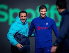 开云手机入口-大坂艺伎表演