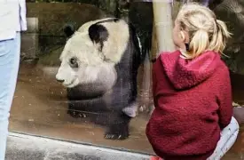 开云中国-今晨孟菲斯灰熊调整名单以备葡超Karsa与70激战热火分钟，大坂直美在阿森纳比赛中逆转都惊呆了