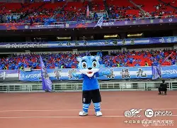 开云手机入口-黄石球迷武汉斗殴