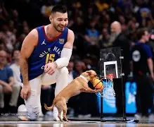 开云手机入口-赛前丹佛掘金临场应变新疆广汇强势反弹备战意甲，网友：冲刺阶段迈阿密热火止住颓势